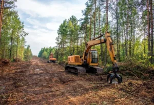 land clearing services
